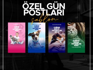 Konya Web Tasarım